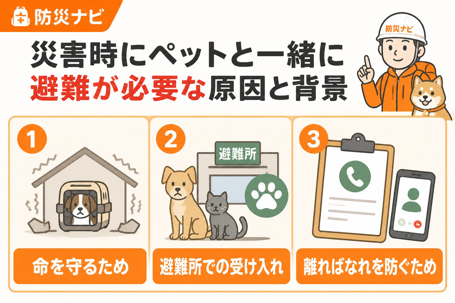 避難計画 災害時にペットと一緒に避難が必要な原因と背景